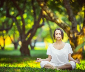 开云APP-德容闪耀，非洲雄鹰展翅高飞，尼日利亚横扫日本，2026世界杯上演经典强强对话