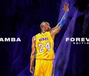 开云官网2026-詹姆斯末节封神逆转乾坤，奇才爆冷击溃湖人揭示争冠隐忧