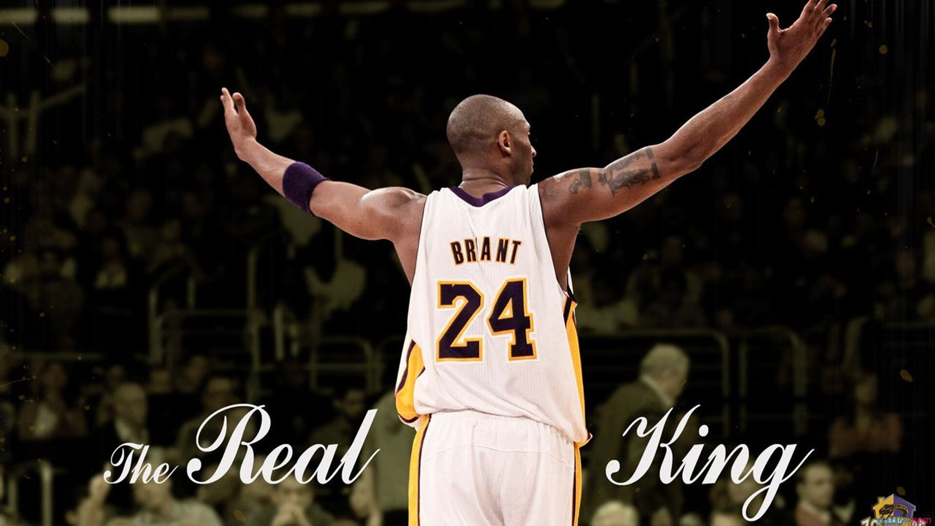 广厦队完胜马刺，当东方铁壁遇上西方魔法，哈利伯顿用慢撕碎防守